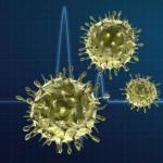 Вирус - это живой организм или нет?